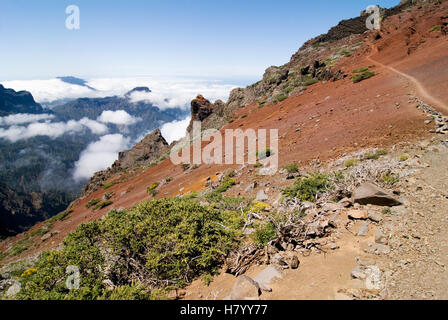 Blick vom Roque de Los Muchachos in den Nationalpark Caldera de Taburiente, La Palma, Kanarische Inseln, Spanien, Europa Stockfoto