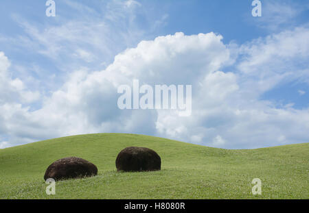 Zwei Steinen mit Kurvenform der grünen Wiese und erstaunliche Wolken und Himmelshintergrund, geringe Schärfentiefe. Stockfoto