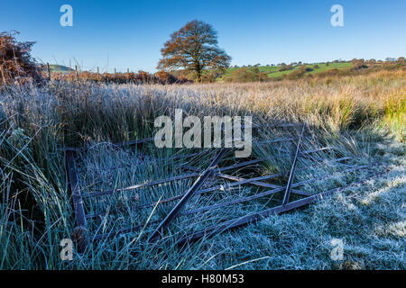 Eine frostige Tor liegen in satiniertem Rasen, in der Nähe von Cynghordy, Carmarthenshire, Wales Stockfoto
