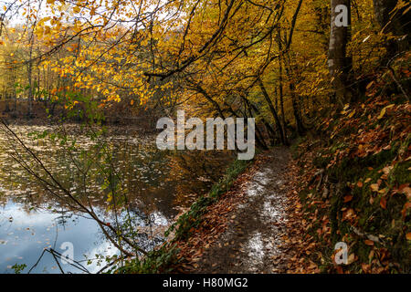 Blick auf Menschen im Wald mit Laub und See mit Reflexion in Yedigoller. Yedigoller, auch sieben Seen bekannt ist natio Stockfoto