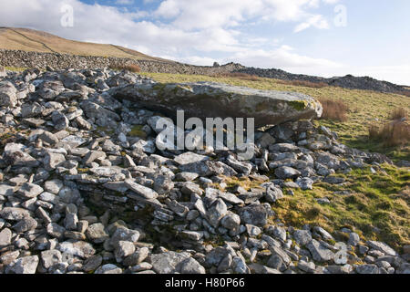 Carneddau Hengwm N Severn-Cotswold gekammerten Grab: Capstone & Trockenmauern Stützmauer am W Ende mit S Cairn nach hinten durch ein C18th Feld Wand geschnitten. Stockfoto