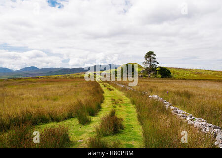 Römerstraße zivile Siedlung (Vicus) auf der Durchreise & nähert sich NE Tor von Auxiliarkastell Tomen y Mur C1stAD & C11th Motte. Stockfoto