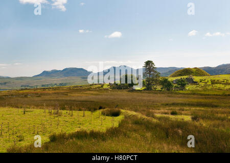 Tomen y Mur aussehende SSW römischen militärischen Komplex & Norman Motte (erbaut auf dem NW-Tor des Forts Phase II), die Rhinogs. Stockfoto