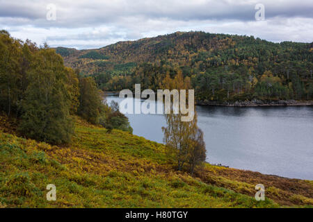 Loch beneveian, Glen Affric, Schottland, Vereinigtes Königreich Stockfoto