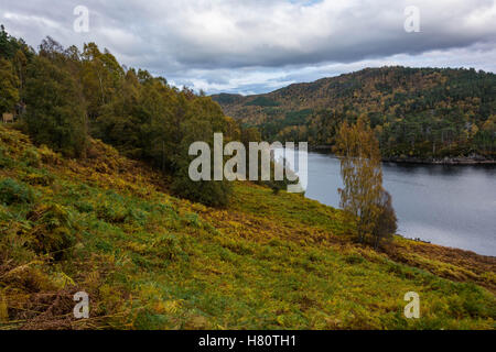 Loch beneveian, Glen Affric, Schottland, Vereinigtes Königreich Stockfoto