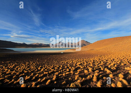 Laguna Verde, grüne Lagune in Bolivien Stockfoto