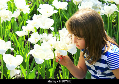 kleines Mädchen riecht weisse Tulpen im Garten Stockfoto