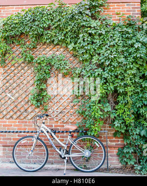 Schwinn Fahrrad gegen Wand Stockfoto