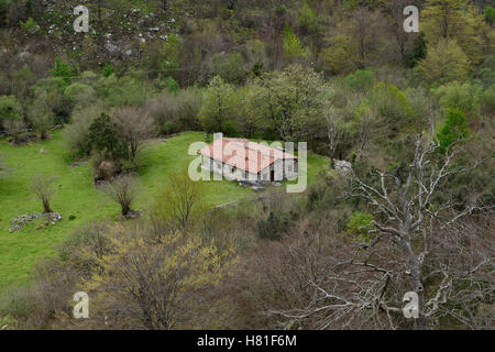 Berglandschaft mit Häusern und Bäumen im Tal des Hügels des Flusses Ason, Kantabrien, Spanien Stockfoto