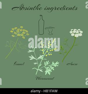 Absinth Zutaten. Großen Wermut oder Artemisia Absinthium, grüner Anis oder Pimpinella Anisum, süße Fenchel Foeniculum vul Stock Vektor