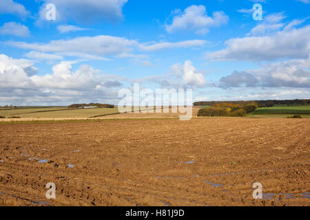 Bewölkter Himmel über die Muster und Texturen von einem schlammigen, geernteten Kartoffelfeld in Yorkshire Wolds landscape.in Herbst. Stockfoto