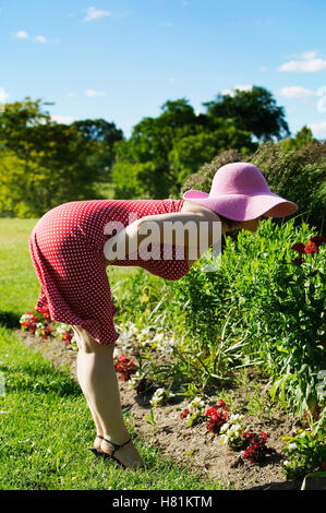 Frau im Garten Blumen riechen Stockfoto