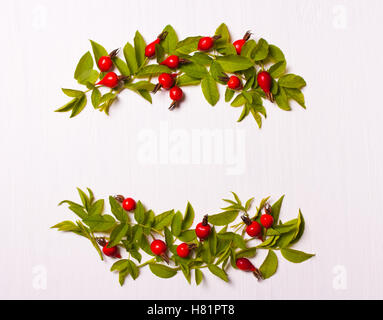 Zusammensetzung der roten Blüten, Beeren und grünen Blätter auf einem weißen Hintergrund. Flach legen, Top Aussicht. Stockfoto