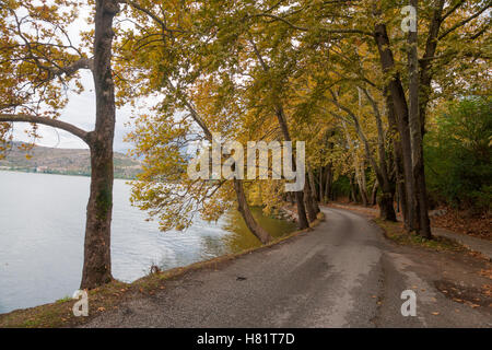 Ein See-Ufer-Straße in Kastoria, Griechenland Stockfoto