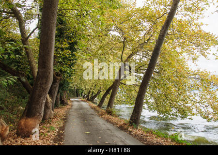 Ein See-Ufer-Straße in Kastoria, Griechenland Stockfoto