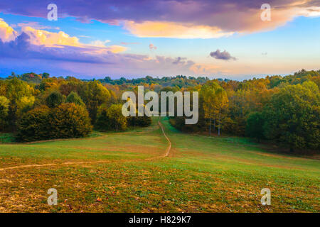 Trail durch Hund Hill Atf Cherokee Park in Louisville KY. Cherokee-Park ist ein Frederick Law Olmsted entworfen. Stockfoto