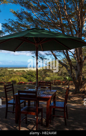 Aussichtspunkt vom Esstisch auf der Terrasse des Restaurant Casela, Casela Natur und Freizeitpark Stockfoto