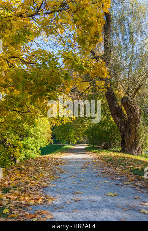 Sich im Herbst-Park Stockfoto
