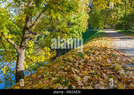 Herbst sich im Stadtpark Stockfoto