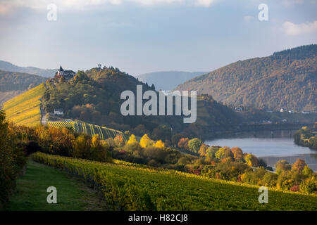 Moseltal, Mosel, Schloss Marienburg, in der Nähe von Bullay, Deutschland Stockfoto