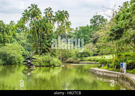 Swan Lake in Singapore Botanic Gardens, Singapur Stockfoto