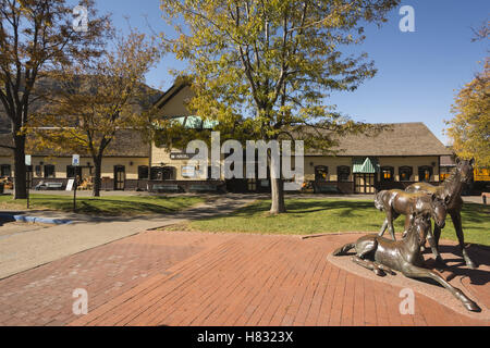 Durango, Durango, Colorado und Silverton schmale Spurweite RR Stockfoto