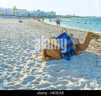 Das Kamel reiten ist das gute Gefühl, besonders am Strand, Al Kantaoui, Tunesien Stockfoto