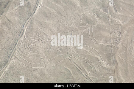 Nazca-Linien - der Affe Stockfoto