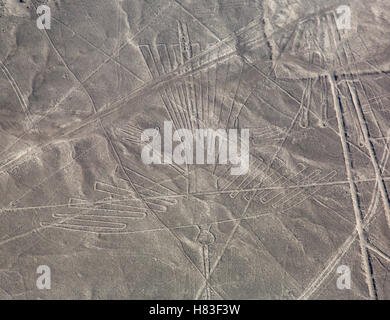 Nazca-Linien - der Condor Stockfoto