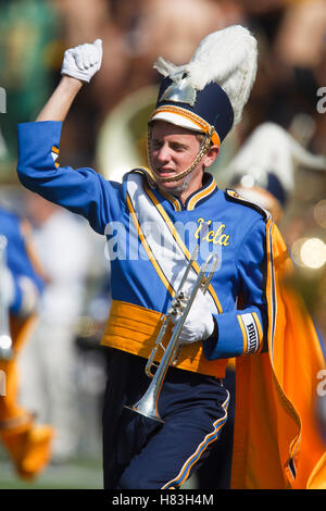 9. Oktober 2010; Berkeley, CA, USA;  Ein Mitglied der UCLA Bruins marching Band führt vor dem Spiel gegen die California Golden Bears im Memorial Stadium. California besiegte UCLA 35-7. Stockfoto