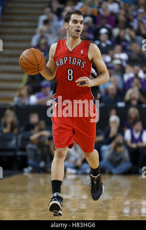 1. November 2010; Sacramento, Kalifornien, USA;  Toronto Raptors Point guard Jose Calderon (8) dribbelt sich gerichtlich gegen die Sacramento Kings im dritten Quartal in der ARCO Arena. Die Könige besiegten die Raptors 111-108. Stockfoto