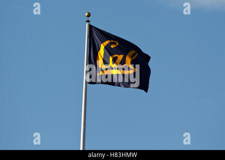 13. November 2010; Berkeley, CA, USA; Ein California Golden Bears-Flagge weht vor dem Spiel zwischen die California Golden Bears und den Oregon Ducks im Memorial Stadium. Stockfoto