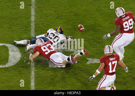 19. November 2011; Stanford, CA, USA;  California Golden Bears Runningback Isi Sofele (20) befummelt den Ball vor Stanford Cardinal Linebacker Trent Murphy (93) im ersten Quartal bei Stanford Stadium. Stockfoto