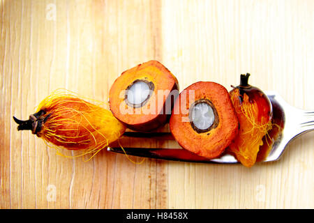 Palmöl ist ein pflanzliches Speiseöl Mesokarp (rötliches Fruchtfleisch) der Frucht der Ölpalme abgeleitet Stockfoto