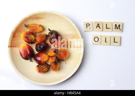 Palmöl ist ein pflanzliches Speiseöl Mesokarp (rötliches Fruchtfleisch) der Frucht der Ölpalme abgeleitet Stockfoto