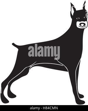 süße Dobermann Hund Tier Symbol auf weißem Hintergrund. Vektor-illustration Stock Vektor