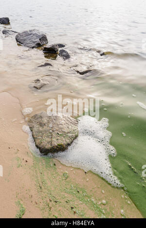 Weißer Schaum Verschmutzung im Fluss Dnepr in Kiew Stockfoto