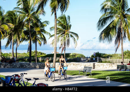 Miami Beach Florida, Lummus Park, Erwachsene Erwachsene Frau Frauen Dame, Freunde, Radfahren, Fahrrad fahren, Fahrrad teilen, Citi, Besucher reisen Reise tou Stockfoto