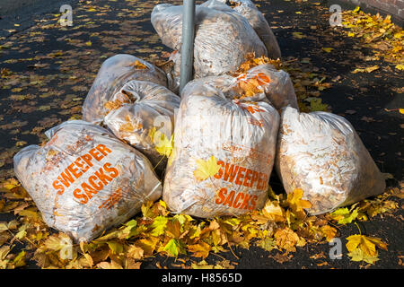 Liverpool, Merseyside, England. 10. November 2016. Herbst-Clear Up.  Sintflutartige Regenfälle, gefolgt von frostigen Nächten führten zu viele Blätter im Herbst verlassen Räte mit einem Blatt aufräumen Betrieb fallen.  Bildnachweis: Cernan Elias/Alamy Live-Nachrichten Stockfoto