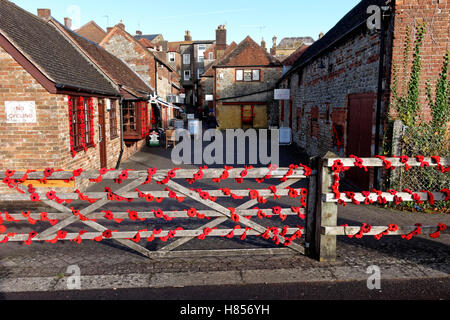 Chinn Gericht, Marktplatz, Warminster, Wiltshire, UK. 7. November 2016.  Handgestrickte Mohn im Markt Stadt von Warminster, Wiltshire, zum Gedenken an britischen und Commonwealth gefallen Soldaten Credit: Andrew Harker/Alamy Live News Stockfoto