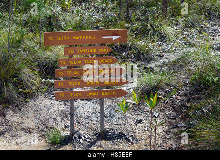 Zeiger im Bako Nationalpark, Sarawak. Borneo. Malaysien Stockfoto