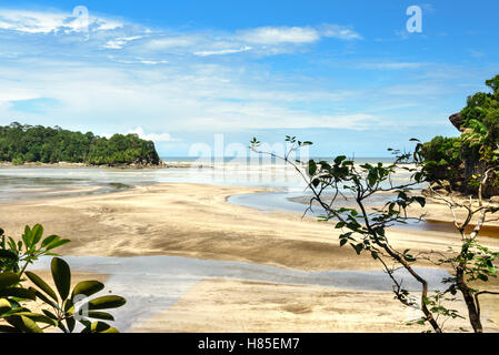 Tajor Strand im Bako Nationalpark, Sarawak. Borneo. Malaysien Stockfoto