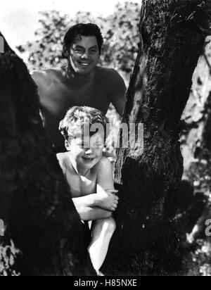 Tarzan Und Sein Sohn, s/w (TARZAN findet A SON) USA 1939, Regie: Kurt Neumann, JOHNNY SHEFFIELD, JOHNNY WEISSMÜLLER Stockfoto