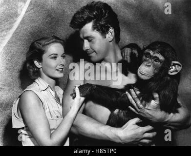 Tarzan Und der Schwarze Srdjan; (TARZANS VERSTECKTEN DSCHUNGEL) USA 1955 s/w, Regie: Harold Schuster, VERA MILES, GORDON SCOTT, Stichwort: Tier, Affe, Schimpanse Stockfoto