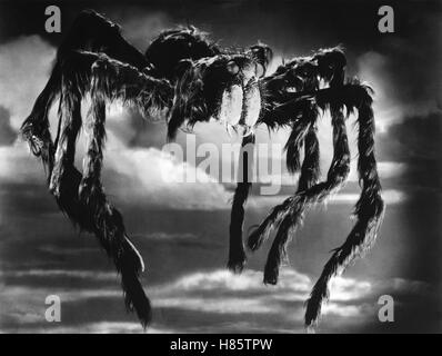 Vogelspinne, (TARANTULA) USA 1955 s/w, Regie: Jack Arnold, Stichwort: Spinne, Tarantel Stockfoto