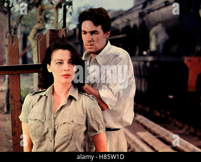 Knotenpunkt Bhowani (BHOWANI JUNCTION) USA 1956, Regie: George Cukor, AVA GARDNER + BILL TRAVERS, Stichwort: Zug Stockfoto