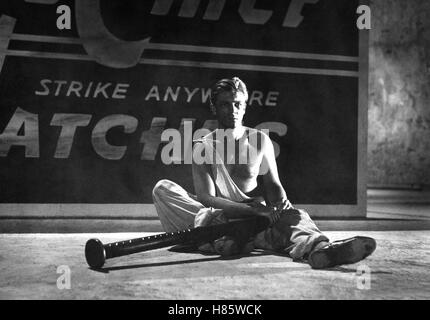 Die Unglaubliche Geschichte des Mister C., INCREDIBLE SHRINKING MAN) USA 1957 s/w, Regie: Jack Arnold, GRANT WILLIAMS Stockfoto