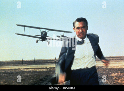 Der Selbstfindungsprozess Dritte, (NORTH BY NORTHWEST) USA 1959, Regie: Alfred Hitchcock, CARY GRANT, Stichwort: Jagd, Laufen, Flugzeug, Doppeldecker- Stockfoto