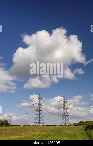 Zwei Reihen von Strommasten gegen einen tiefblauen Sommerhimmel mit einem dramatischen weiße Wolke overhead Stockfoto
