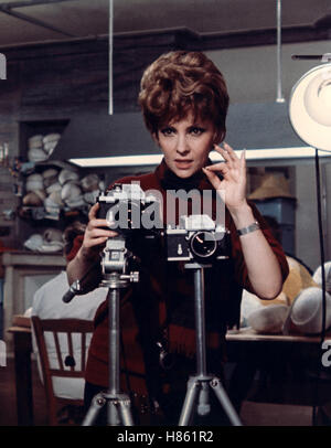 Züricher Geliebte, (LES SULTANS) sterben F-IT 1968, Regie: Jean Delannoy, GINA LOLLOBRIGIDA, Stichwort: Kamera, feste, Fotografin, Fotostudio Stockfoto